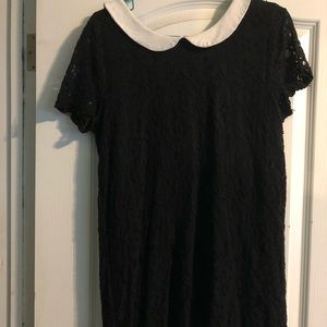 Black lace collared mini dress